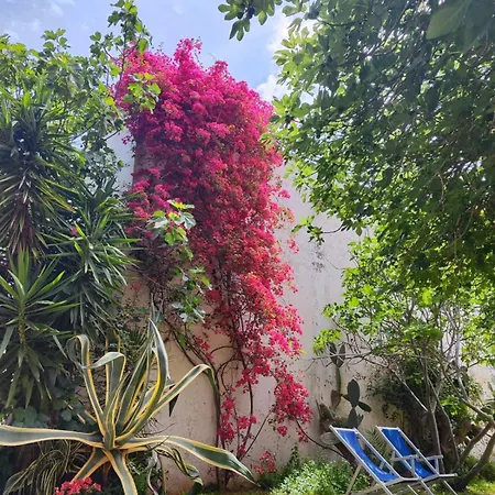 Alloggio per agriturismo Masseria Fortificata Bellanova Nardò