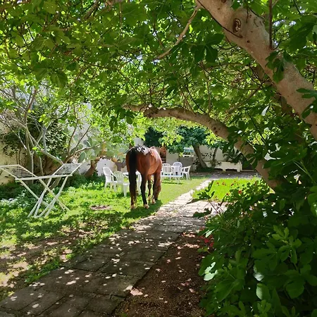Masseria Bellanova Nardo
