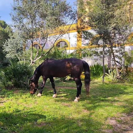 Çiftlik konaklama Masseria Fortificata Bellanova