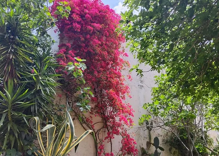 בית חווה Masseria Fortificata Bellanova Nardò